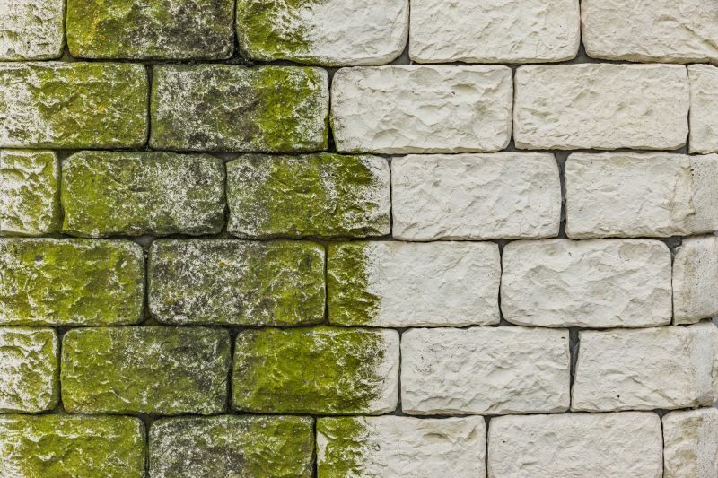 Algae Control Treatments