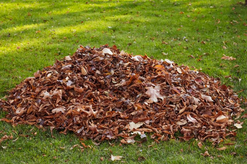 Fall Leaf Removal