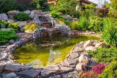 Landscaping and Pond Design Experts